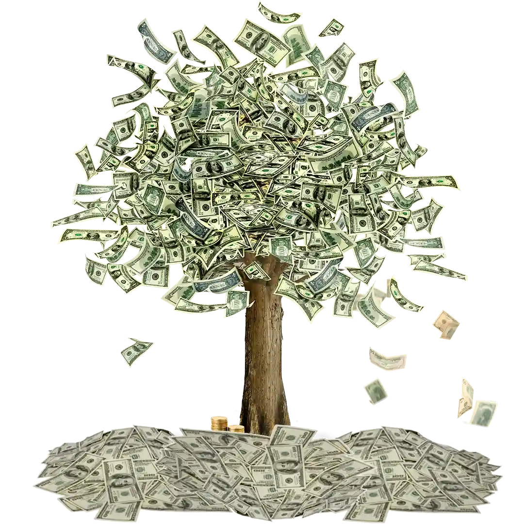 a tree of money mms