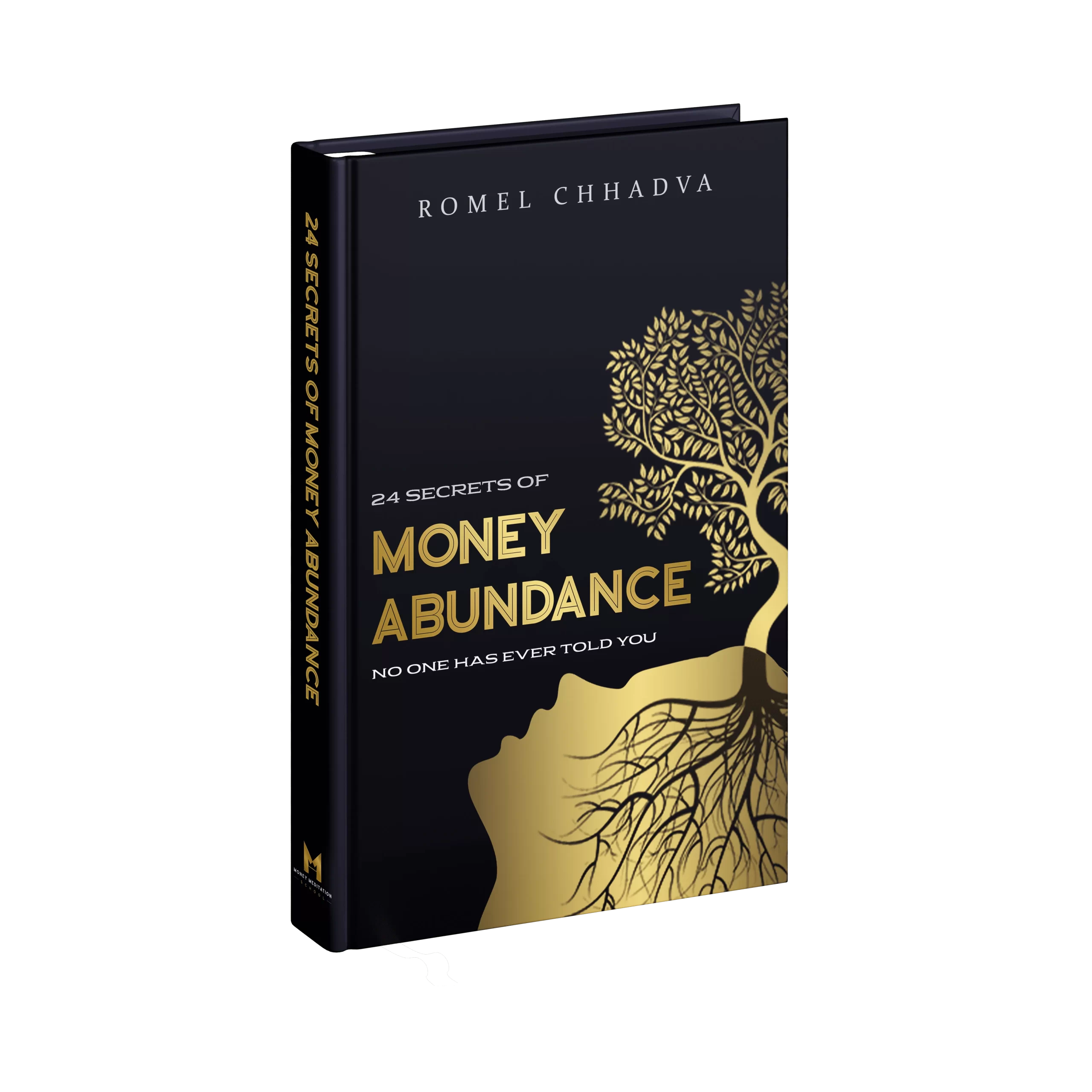 money abundance ebook by romel chhadva